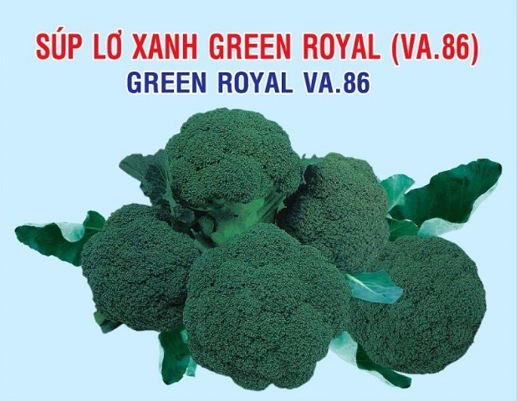 Súp lơ xanh Green Royal 1_1681886332.png